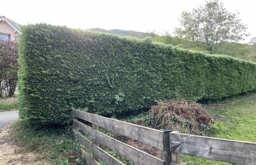 palissade avant travaux