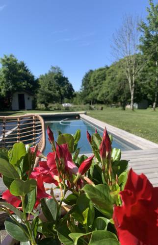piscine après travaux