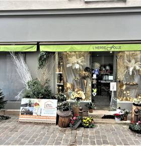 Ravalement de façade de devanture de boutique fleuriste - Brie-Comte-Robert 77170