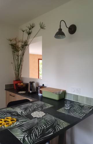 Rénovation d'une cuisine à Seynod