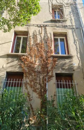 Après : rendu esthétique extérieur bâtiment