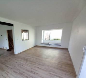 Rénovation de salon avec pose d'une verrière d'atelier - Lagnieu 01