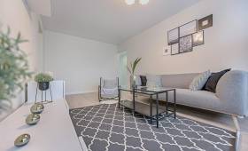 Rénovation d’un salon à Issy-les-Moulineaux (92130)