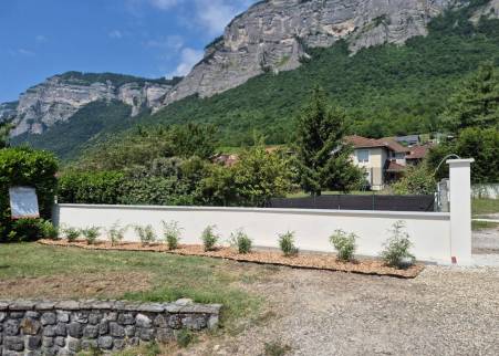 zoom sur la haie de bambous