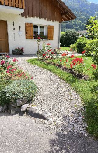 Travaux terrasse Bellevaux
