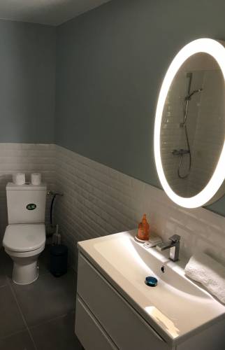 renovation appartement paris 75009 salle de bain vue 3