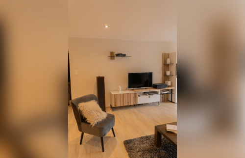 Rénovation appartement - salon