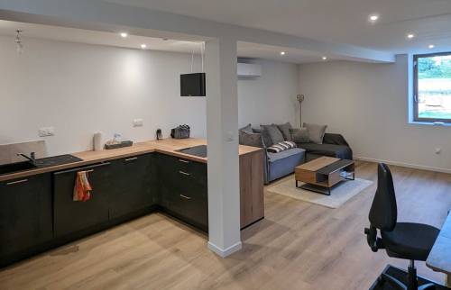 rénovation appartement cuisine et salon