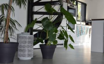 Rénovation de sol intérieur avec pose de béton ciré - Montpellier 34000