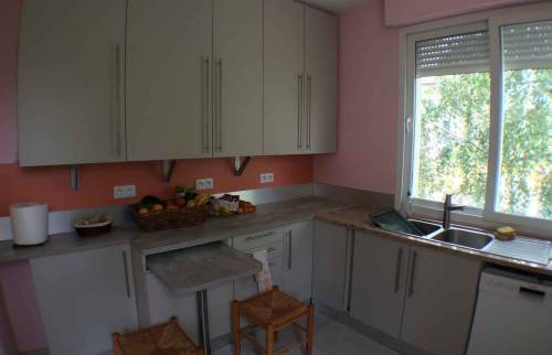 Rénovation cuisine - Orvault (44)