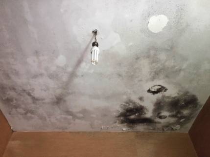 Plafond de salle de bain abîmé avant travaux de rénovation intérieure - Nantes 44