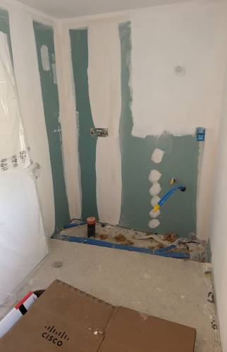 Etape 3 du projet Chêne