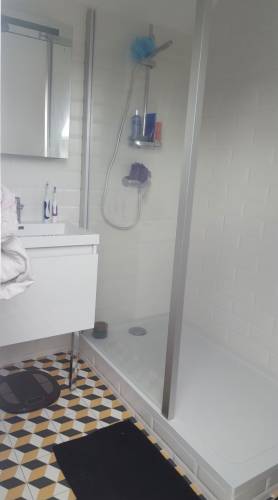 Salle de bain aménagée sous les combles avec l'installation d'une douche avec vitre et d'un lavabo blanc avec miroir
