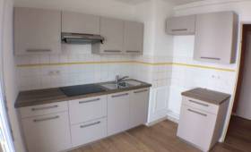 Rénovation d'une cuisine aménagée  - Nantes (44)