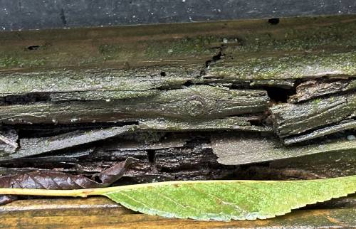 rénovation à Antony