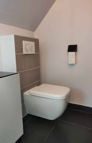 Rénovation salle de bain toilettes suspendus 