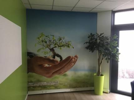 Pose d'une toile tendue aux murs et aux plafonds 