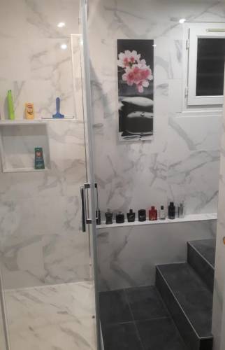 Une salle de bains atypique à Athis-Mons (91200)