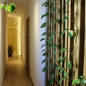 Appartement 21 B - Damien Bernabeu - La Maison Des Architectes