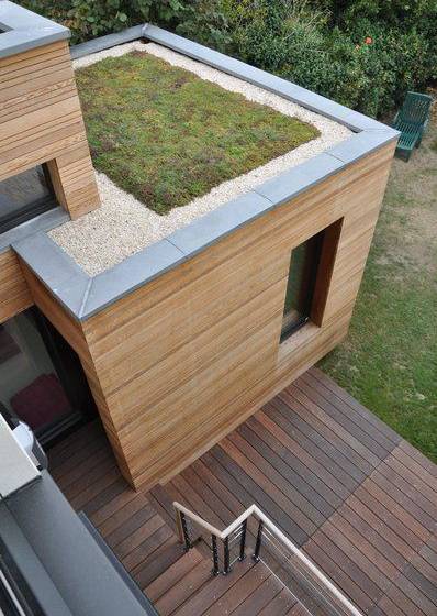 extension toit plat végétalisé - bureau atelier véranda