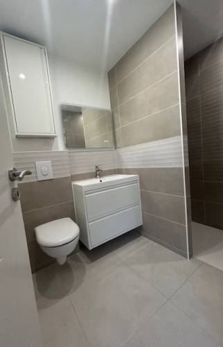 Rénovation de salle de bain à Saint-André-les-Vergers toilettes