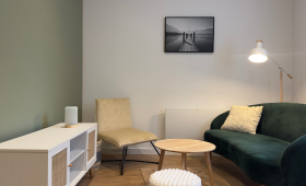 Rénovation salon - appartement à Lons-le-Saunier