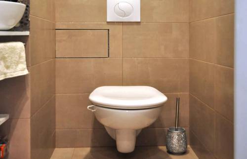 Rénovation d'un appartement à Sceaux les toilettes