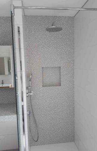 Douche carrelage mosaïque à Huningue