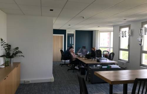 Rénovation mur et plafond