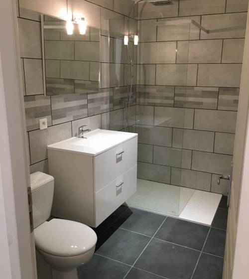 Nouvelle salle de bain dans une maison - Romans-sur-Isère 26