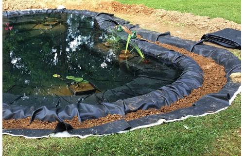 Installation plantes aquatiques 