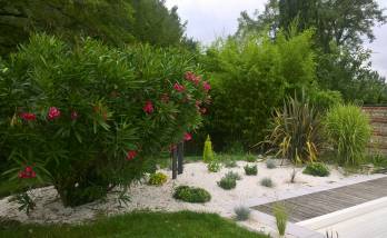 Création de jardin sur pierre de rivière