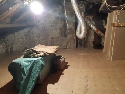 Combles avant travaux d'isolation et de rénovation de toiture - Chazey-sur-Ain 01