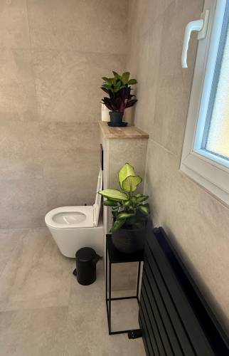 WC suspendu à Voiron