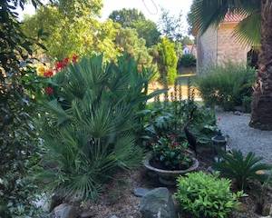 Terrasse en bois de Padouk - Valérie Simoni - La Maison Des Architectes