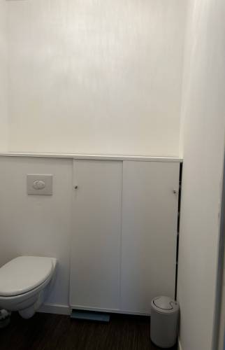Toilette avant rénovation