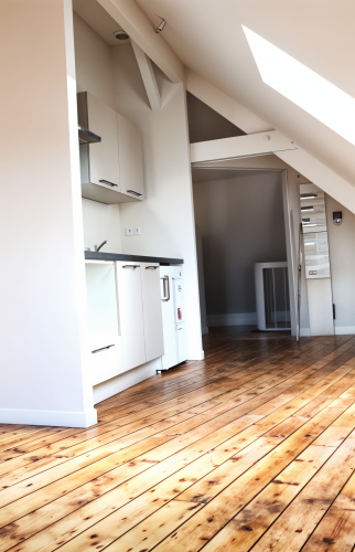 Rénovation combles (69290 CRAPONNE)