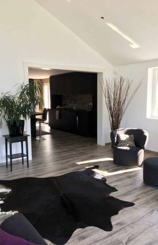 Aménagement d'un salon dans une extension à Marly le Roi  78
