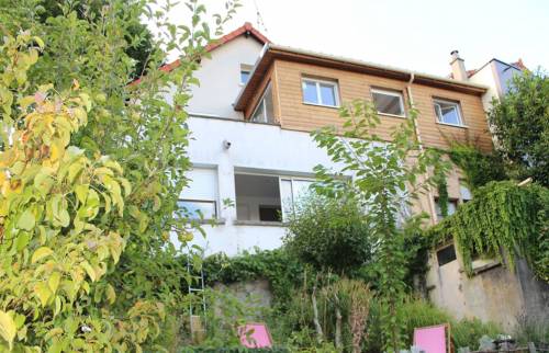 Extension bois vue du jardin