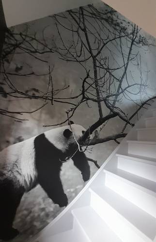 Décoration d'intérieur Violaines