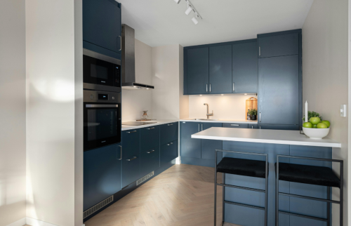 Rénovation d’une belle cuisine en U à Montbrison (42600)