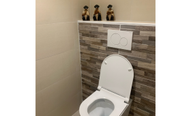 Réno toilettes Lyon