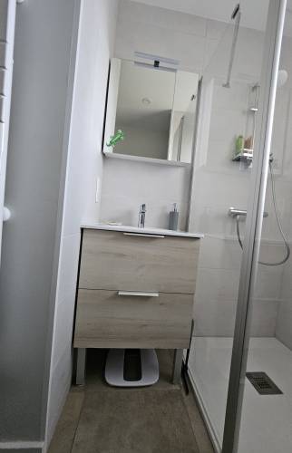 Nouveau mobilier simple vasque coloris châtaignier