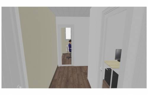 Projection 3D Aménagement locaux pro