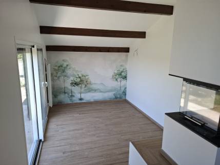 Rénovation de maison avec décoration de salon - Ambérieu-en-Bugey 01500
