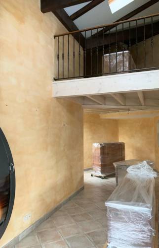 Rénovation de salon à Vienne