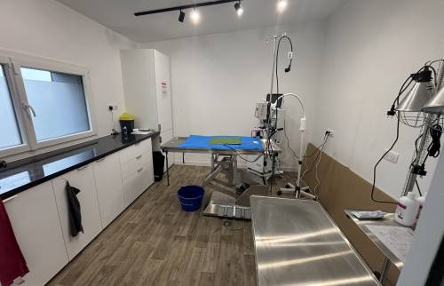 Cabinet vétérinaire La Maison des Travaux Rouen 6