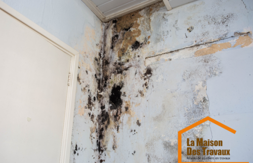 AVANT Humidité dans les murs de la pièce principale