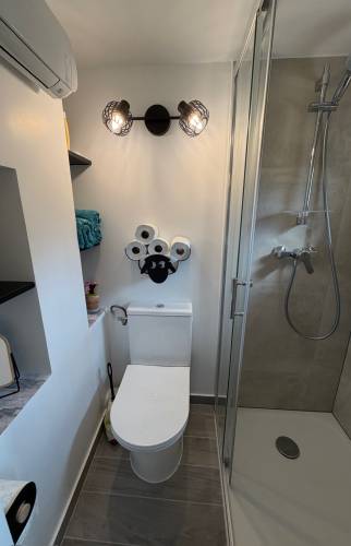 Salle d'eau avec WC