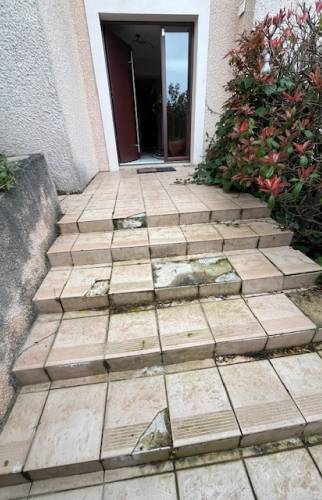 Rénovation d’un escalier extérieur (69340 FRANCHEVILLE)